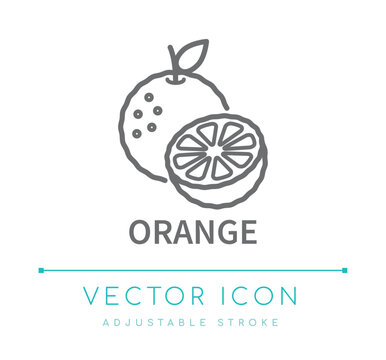 Orange Line Icon