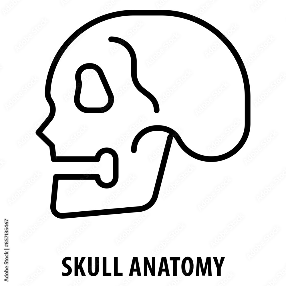 Poster skull anatomy icon simple and easy to edit for your design elements