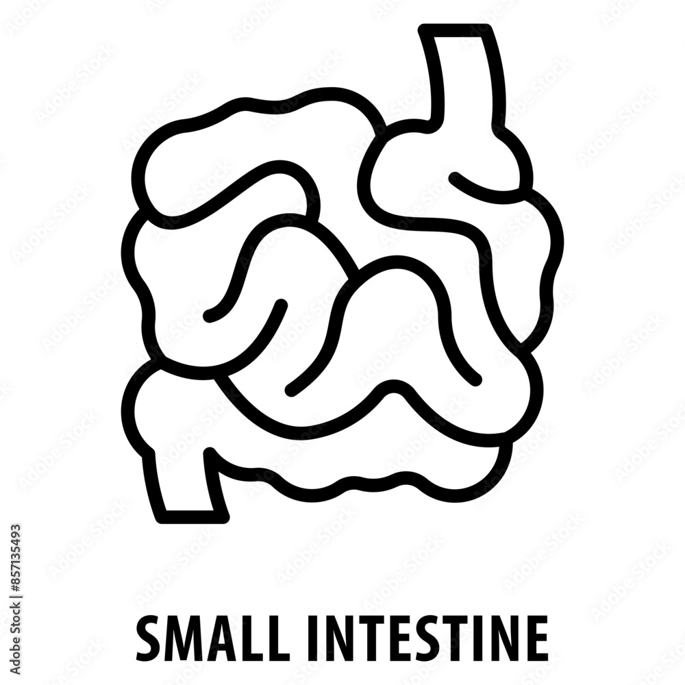 Poster small intestine icon simple and easy to edit for your design elements