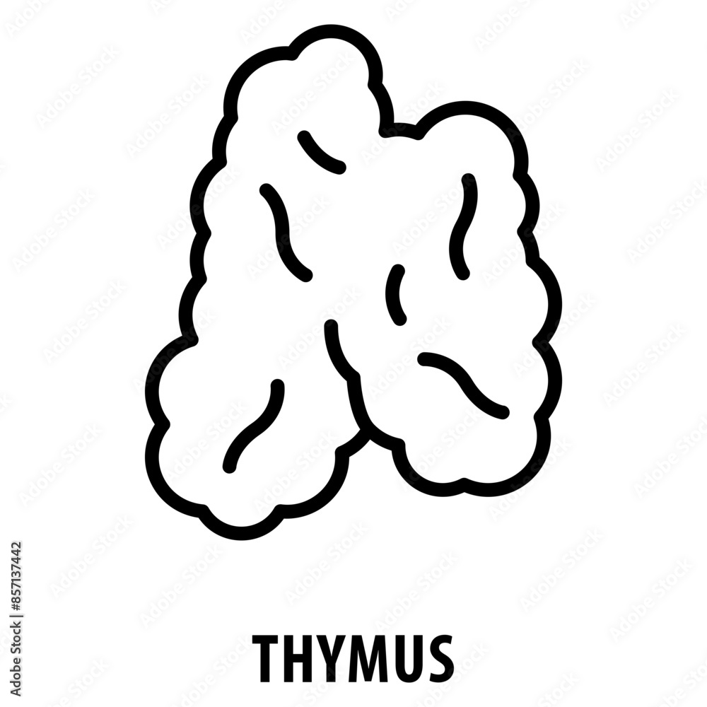 Aufkleber thymus icon simple and easy to edit for your design elements