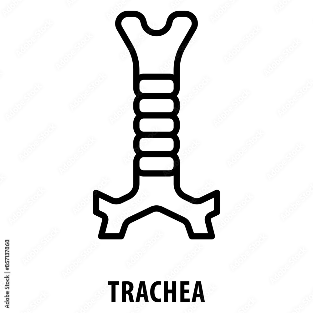 Poster trachea icon simple and easy to edit for your design elements