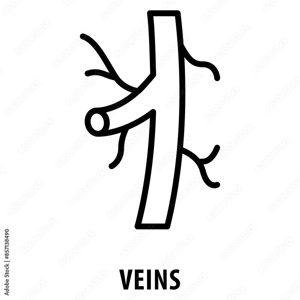 Poster veins icon simple and easy to edit for your design elements