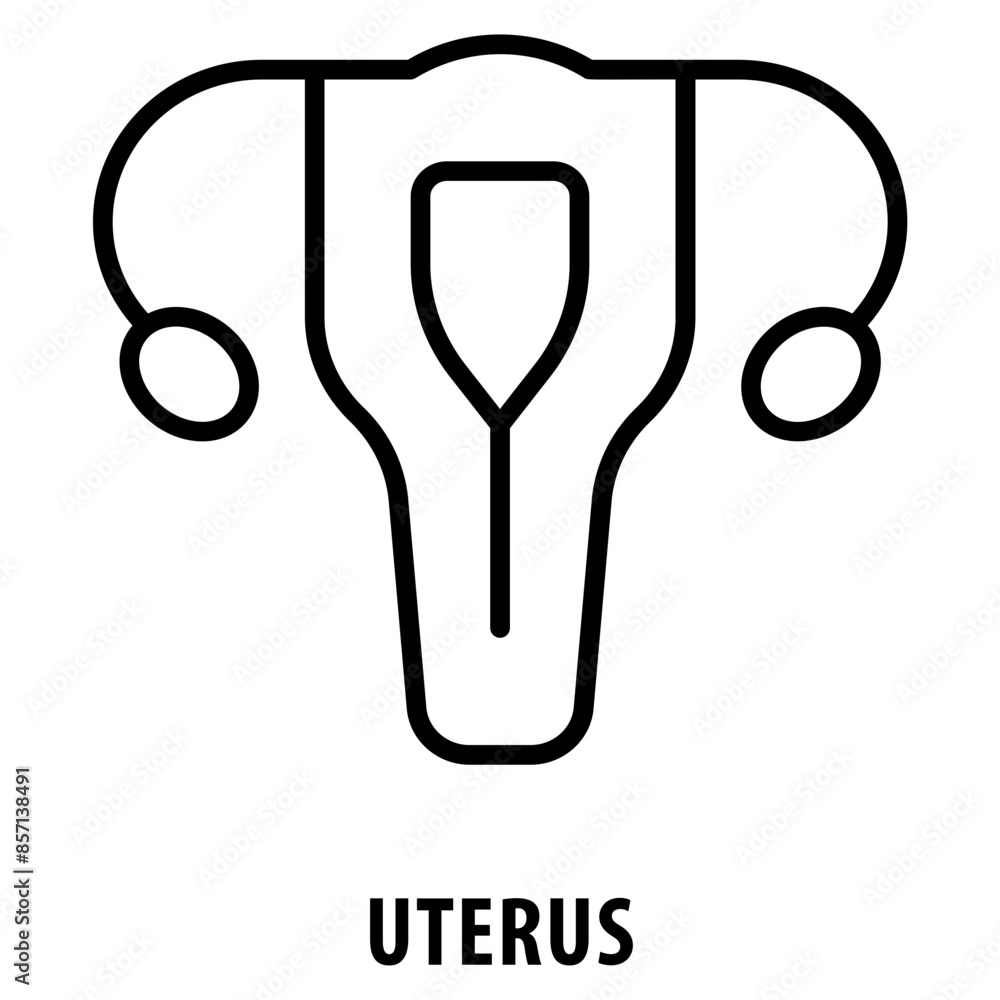 Poster uterus icon simple and easy to edit for your design elements