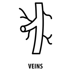 veins Icon simple and easy to edit for your design elements