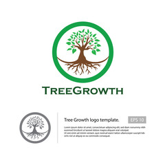 Tree Growth logo template with a simple tree and root that bordered with green circle.