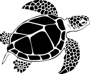 turtle illustration