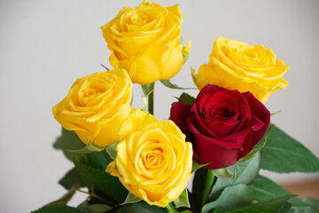 赤いと黄色のばら