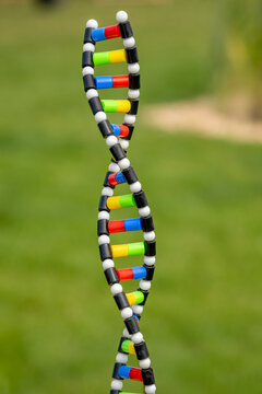DNA Strang 