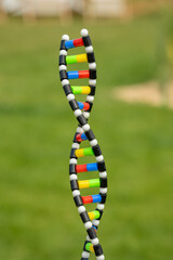 DNA Strang