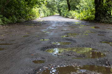Pothole-Ridden Road in Forest