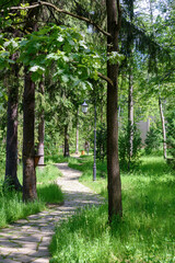 Fototapeta premium A stone path for walking in the park between trees and lanterns.