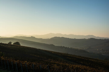 colline al tramonto