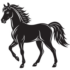 horse illustration