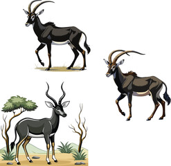 Large-horned black antelope- © frrlbt