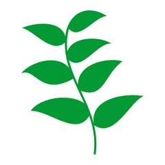 Tree Brunch icon isolated on white background. Twig with Leaves. Decorative Element Design. Spring, Summer Foliage, Plants, Foliage, Herbs. Vector Illustration