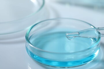 Dripping liquid from pipette into petri dish at white table, closeup