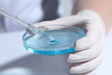 Scientist dripping liquid from pipette into petri dish at white table, closeup