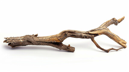 Obraz premium tree branch isolated on a white background