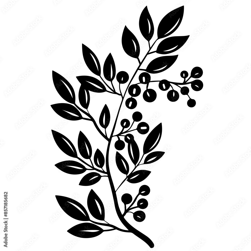 Poster barberry with leaves