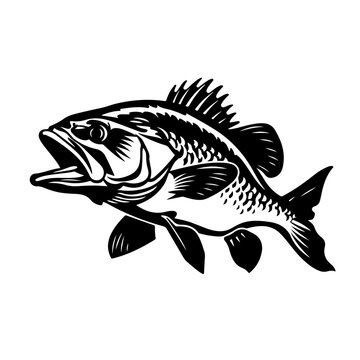 recommend clip art: Bass Fish