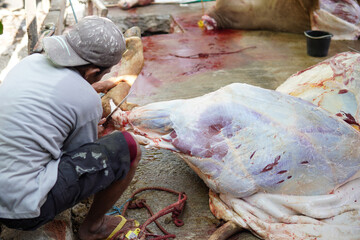 someone cutting qurbani meat for Eid al Adha