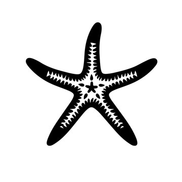 recommend clip art: Starfish