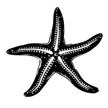 recommend clip art: Starfish