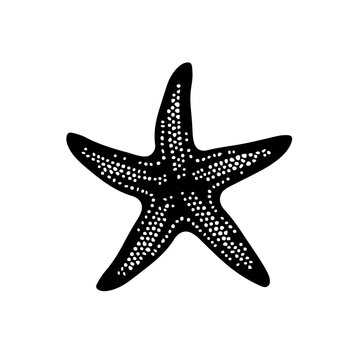 recommend clip art: Starfish