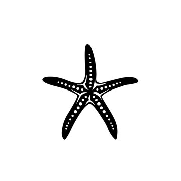 recommend clip art: Starfish