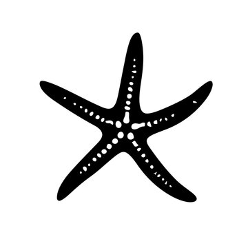 recommend clip art: Starfish