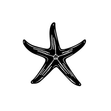 recommend clip art: Starfish