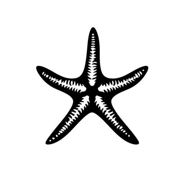 recommend clip art: Starfish