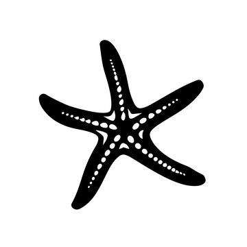 recommend clip art: Starfish