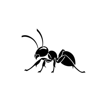 recommend clip art: Ant Exterminator