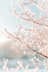 Naklejka premium frosted tree branches, with intricate ice crystals forming on the twigs. The background is softly blurred