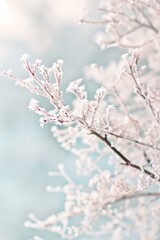 frosted tree branches, with intricate ice crystals forming on the twigs. The background is softly blurred