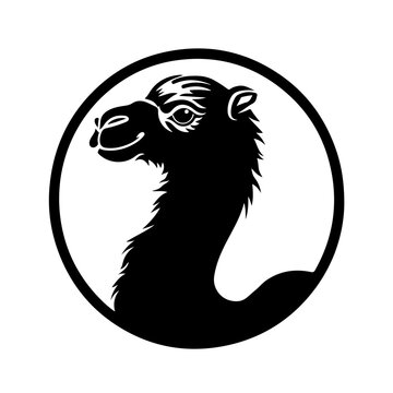 recommend clip art: Bactrian Camel