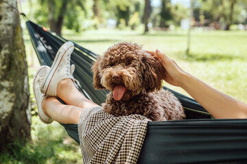 Woman relaxing in hammock petting dog fluffy brown Maltipoo dog on sunny day. Both looking content...