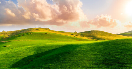 green spring hills with young grass and amazing growing fields and hills with beautiful bright cloudy sunset on background of rural landscape
