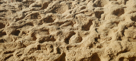 beach wall texture clean water green house house foam rock nature beauty sugar loaf cable car coconut palm tree sand sun stone travel vegetation landscape