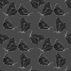 seamless pattern of hand drawn sketch butterflies