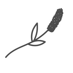 hand drawn illustration of flowers and leaves