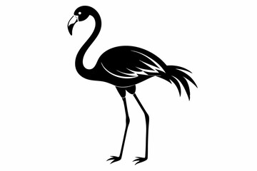 Obraz premium Flamingo bird Silhouette black Vector