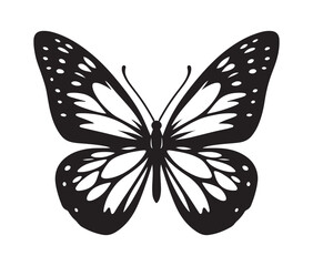 Butterfly silhouettes collection, vector illustration isolated on white background