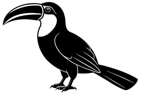 recommend clip art: Toucan silhouette   black color 