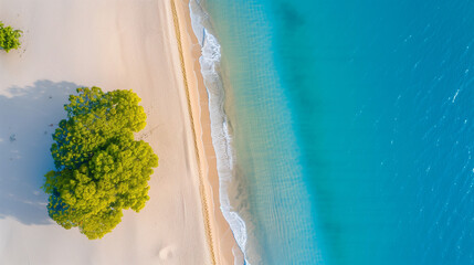 aerial view of beach with turquoise water