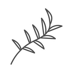 hand drawn illustration of flowers and leaves