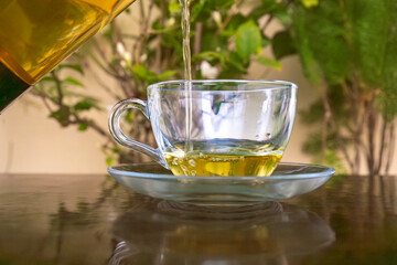 Pouring Organic Green Tea into a transparant glass tea cup in the mountains with green background