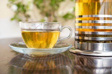 Green Tea in a Glass Tea Cup and Saucer with French Press teapot on side