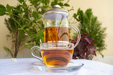 Organic Black Tea in a French Press and cup from the Himalayan Mountains 